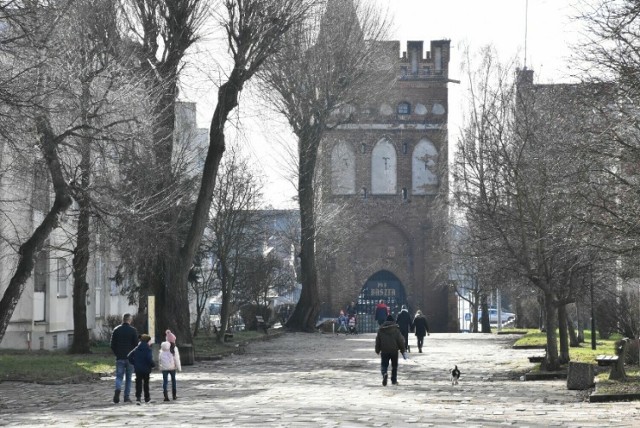 Dzięki dotacji z budżetu województwa pomorskiego właściciele zabytkowej Bramy Mariackiej w Malborku będą mogli kontynuować prace restauratorskie.