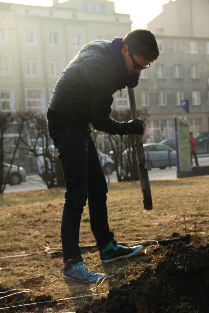 Mieszkańcy Wrzeszcza uznali, że Plac Waryńskiego powinien...