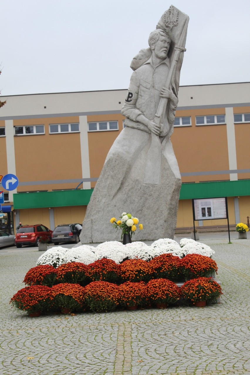 Władze Hrubieszowa ozdobiły miasto kolorowymi chryzantemami. Zobacz zdjęcia