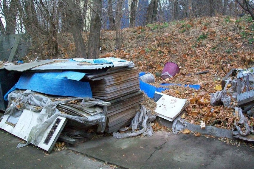 Ekologia? To chyba jakieś imię z drugiej połowy lutego. Fot....