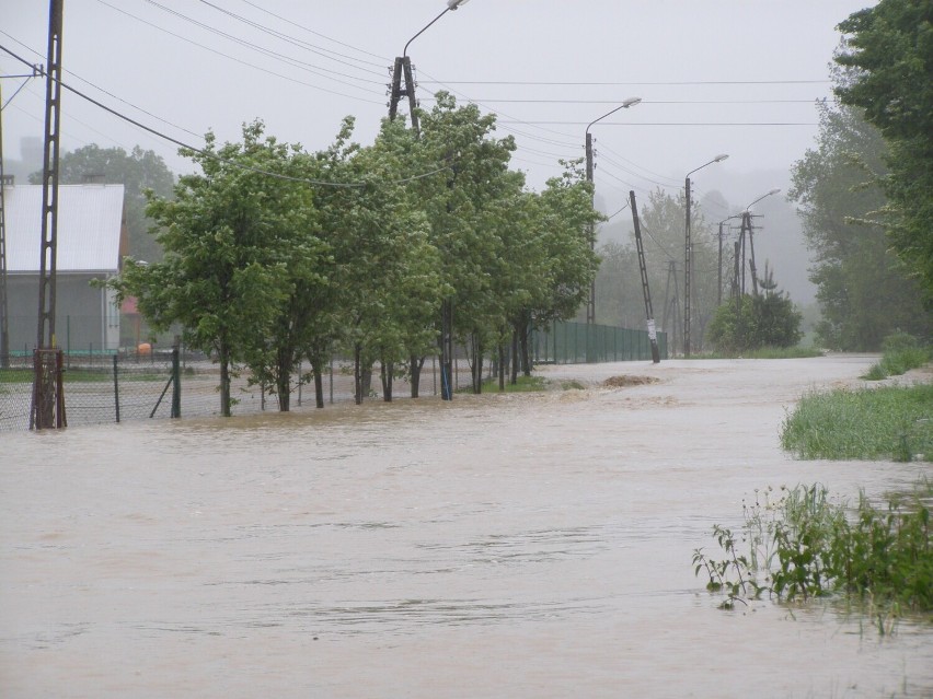 Potop w Pleśnej