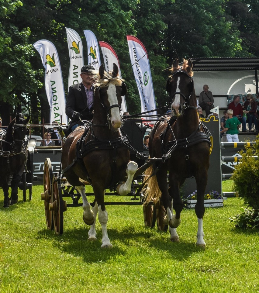 Piękne powozy na Festiwalu Jeździeckim Baborówko [ZDJĘCIA]