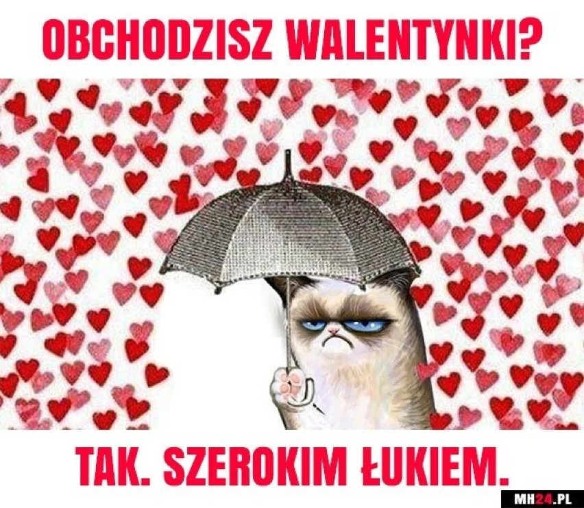 Walentynki w memach, czyli cała prawda o święcie 14 lutego. Wszyscy jednak mimo wszystko lubimy kartki, kwiaty i życzenia?