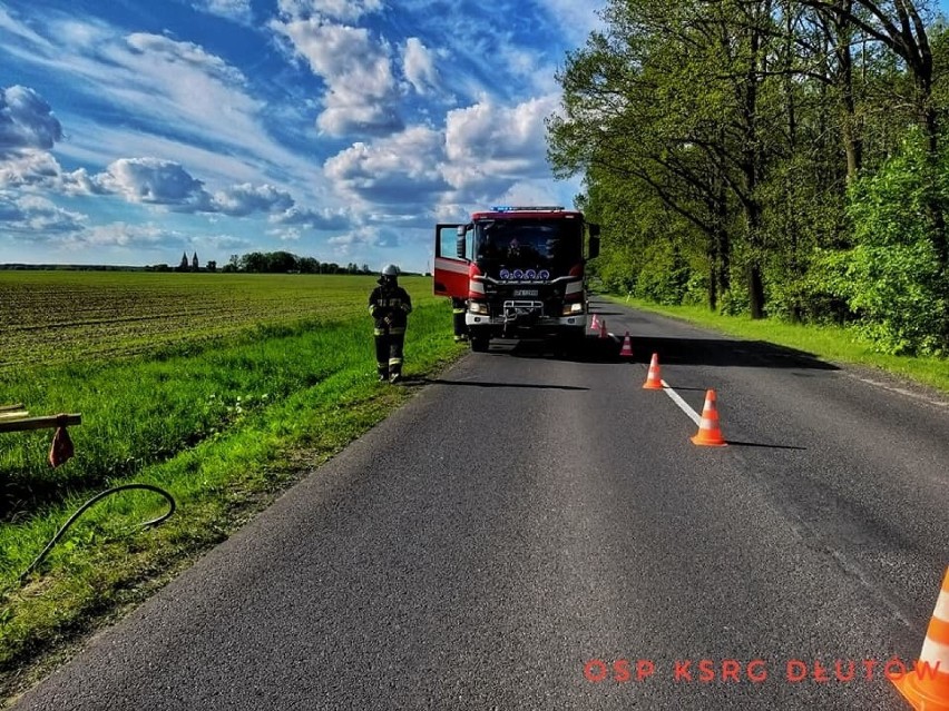 Wypadek w Dłutowie. Skoda z przyczepką wjechała do rowu i dachowała ZDJĘCIA