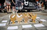 Protest w obronie kur przed Madisonem w Gdańsku: Otwarte Klatki przeciwko hodowli klatkowej. Zobaczcie zdjęcia