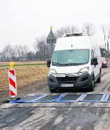 Czempiń. Ptasia grypa jest już blisko