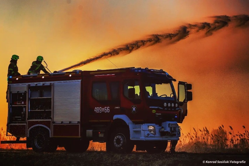Powiat malborski. Zaczęły się pożary traw, co doskonale widać w tygodniowym raporcie KP PSP Malbork