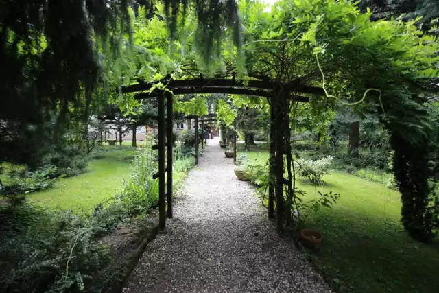 Parafialny Ogród Botaniczny w Bujakowie to miejsce pełne roślin, rzeźb czy kapliczek. 

Zobacz kolejne zdjęcia. Przesuwaj zdjęcia w prawo - naciśnij strzałkę lub przycisk NASTĘPNE >>>