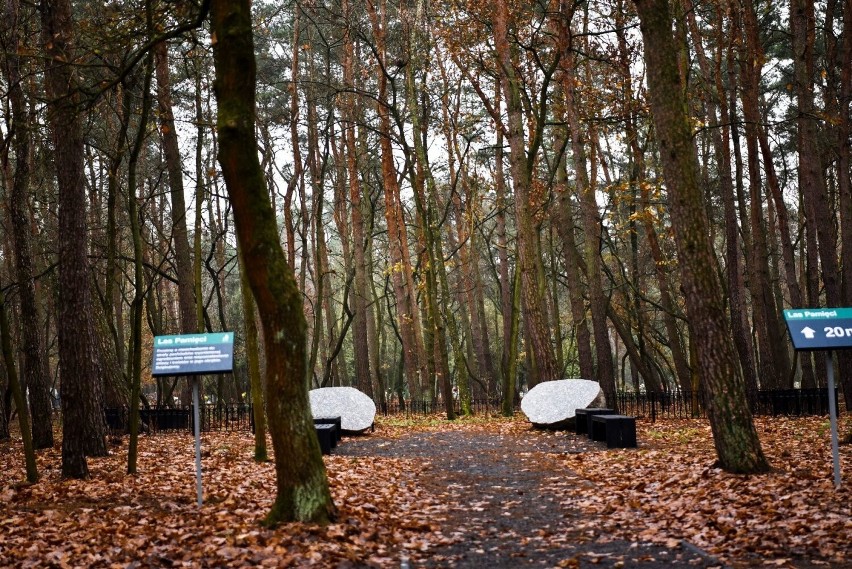 Las Pamięci utworzony został w obrębie pola nr 40. Można się...