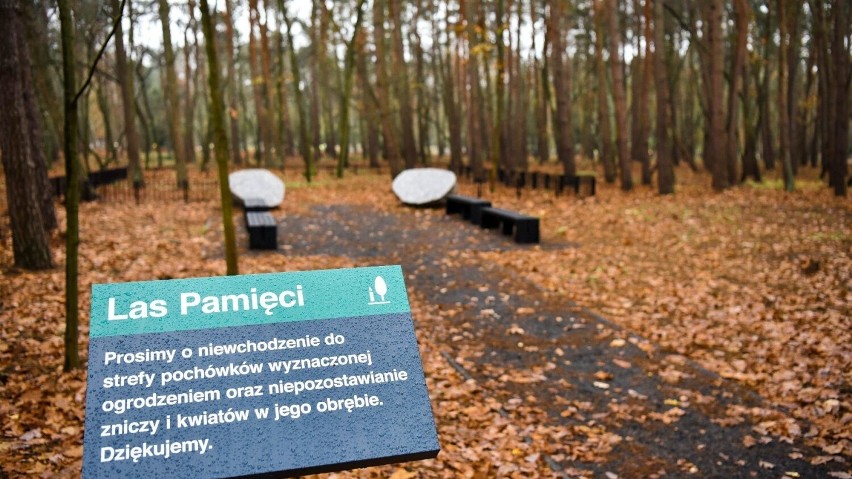 Las Pamięci utworzony został w obrębie pola nr 40. Można się...