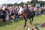 Jabłonna: Święto Konia 2017 FOTO