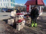 Kwiaciarnie na ulicach Goleniowa. Widać, że to Dzień Kobiet