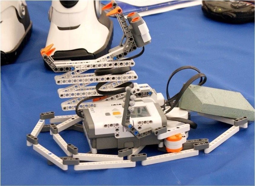 Uniwersytet Łódzki zaprezentował możliwości robotów.fot....