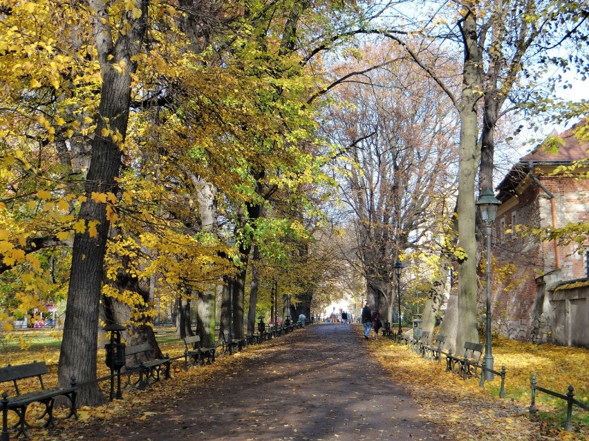 Planty - Ogród Wawel