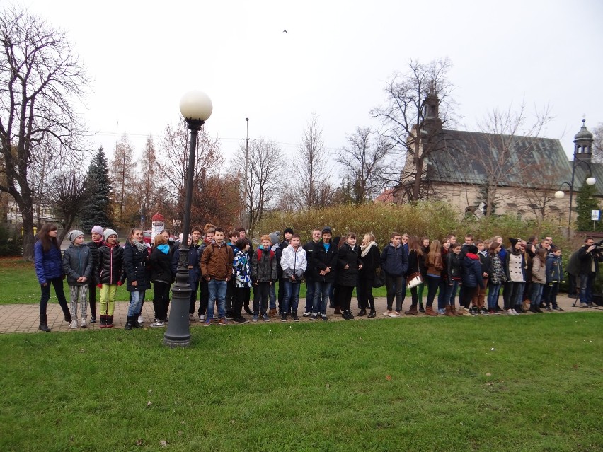 Posadzili Dąb Wolności w Wieluniu