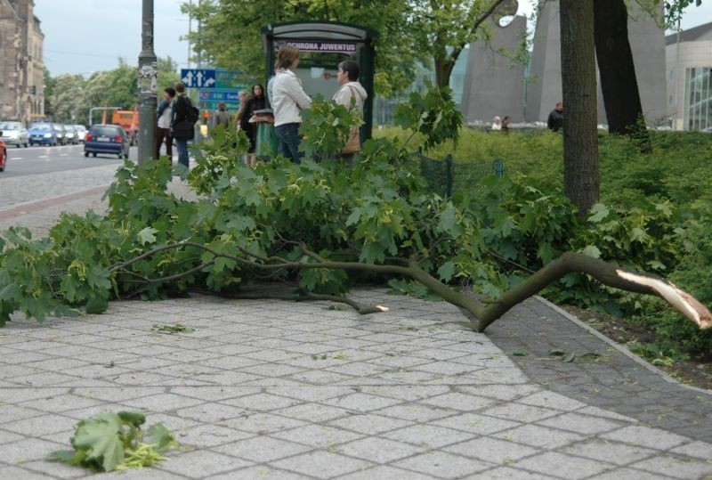 Połamane drzewa i gałęzie, zerwana linia energetyczna - to...