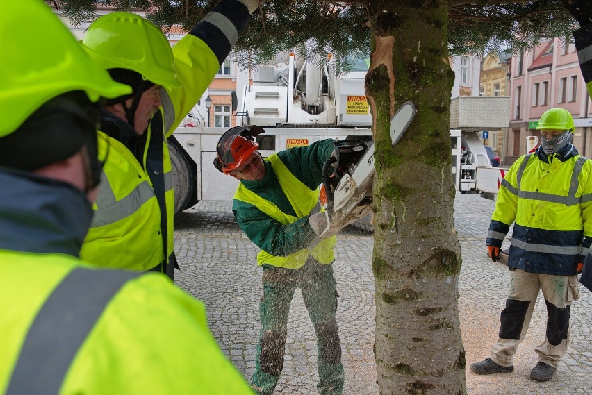 Świąteczny klimat się zaczyna. Choinka na  Placu Wolności  w Koninie