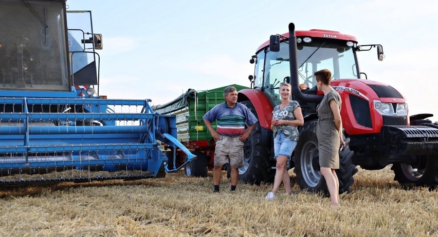 Jak wyglądają żniwa w gminie Leśniowice? Pani wójt zajrzała na pola. Zobacz zdjęcia