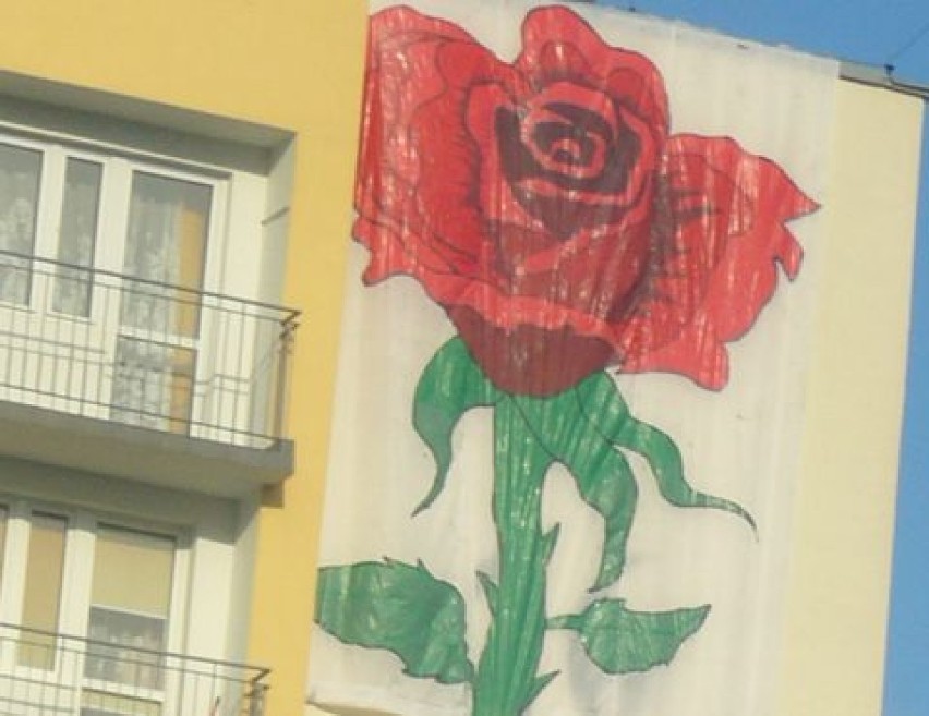 Róża na elewacji wieżowca w Kielcach