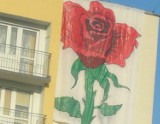 Róża na elewacji wieżowca w Kielcach