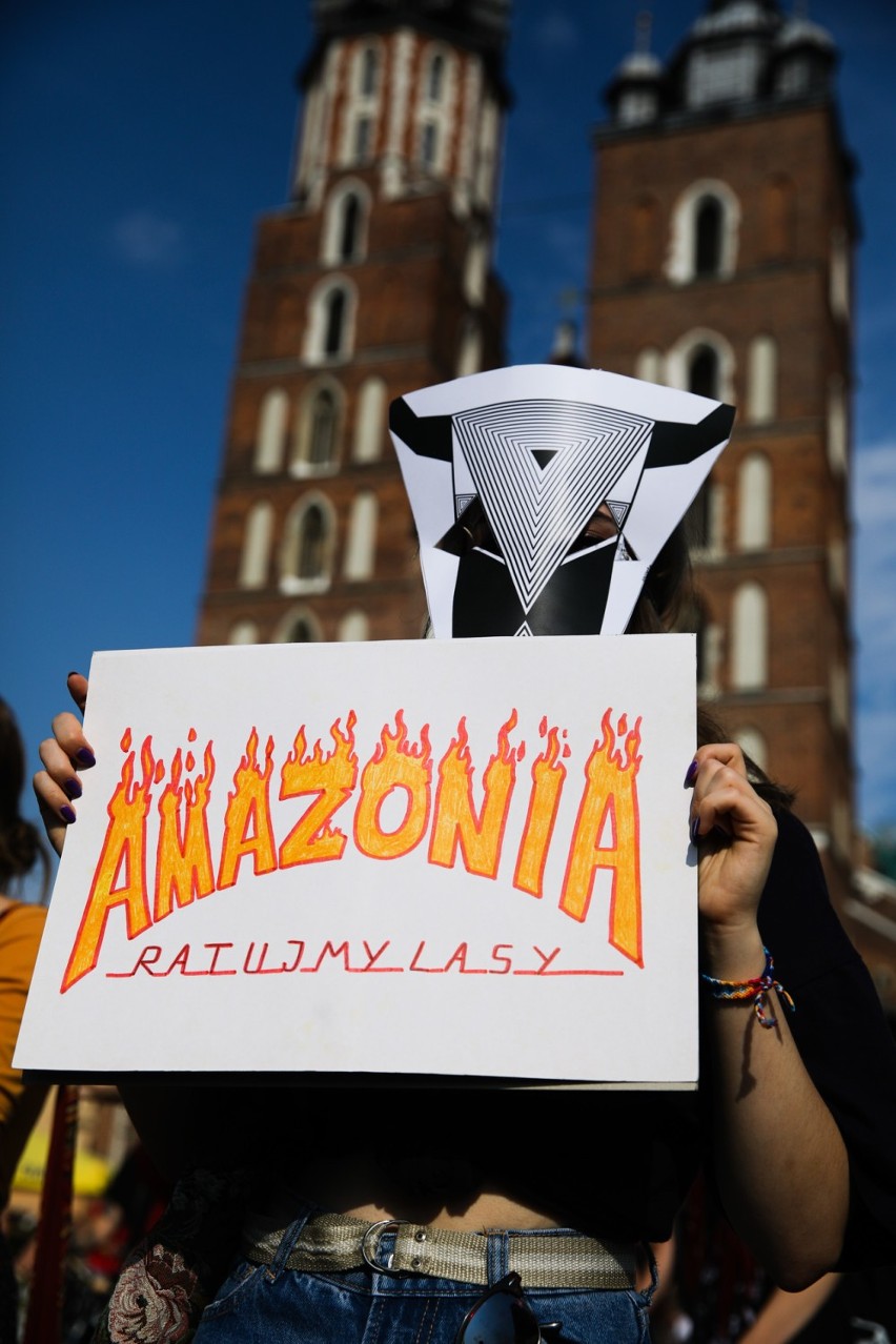 Kraków. Amazonia płonie. Demonstracja pod pomnikiem Mickiewicza [ZDJĘCIA]