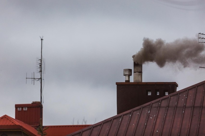 Obserwacja rejestrujących na bieżąco poziom smogu czujników...