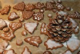 Przepis na pierniczki. Oto najlepsze świąteczne słodkości. Zobacz jak je przyrządzić! [ZDJĘCIA]                      