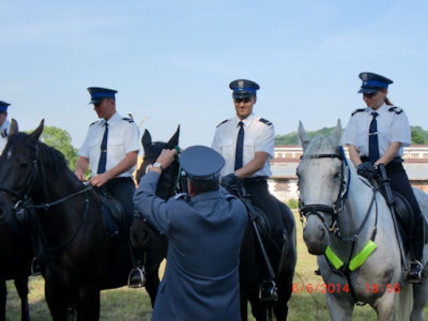 XIV Międzynarodowy Turniej Policji Konnej z udziałem...