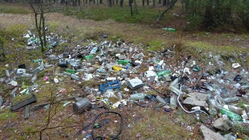 Zanieczyszczone śmieciami miejsca wskazał nam Maciek...