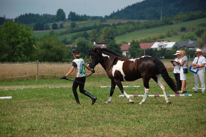 Galicyjskie Lato z Koniem w Bieździedzy. Dwudniowy zlot hodowców koni z mnóstwem atrakcji