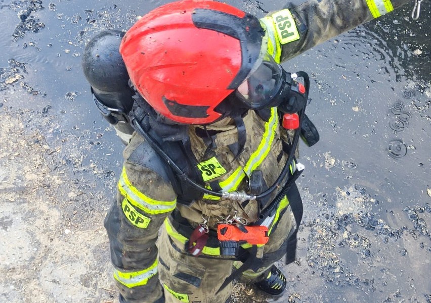 Elbląscy strażacy gasi pożar magazynu z trocinami! ZDJĘCIA