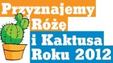 Róża i Kaktus 2012 (głosowanie, wyniki na żywo)