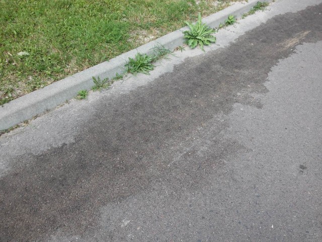 Chełm. Płyny ze śmieciarki pozostawiają na ulicy brązowe plamy. Takie miejsca są siedliskiem bakterii.