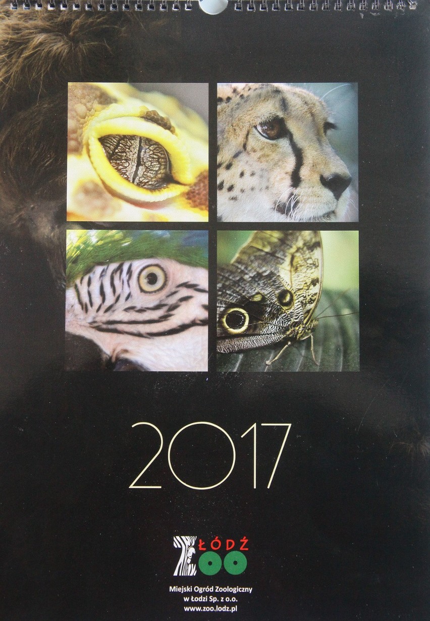 Kalendarz 2017. Łódź na każdy z 12 miesięcy