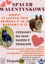 Walentynkowy spacer z psami                                                    