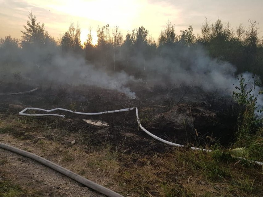 Pożar lasu w Herbach i Kalinie 20 - 21.07.2019.