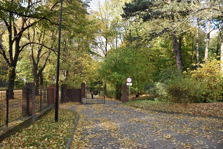 Najstarszy park w Wałbrzychu w jesiennych barwach