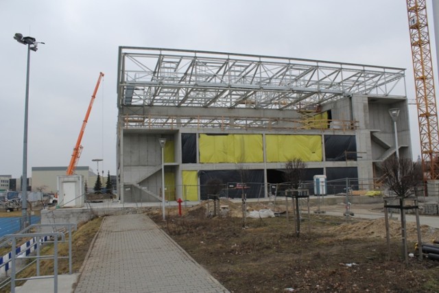 Budowa hali AWF Poznań