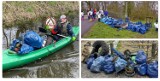 "Operacja Czysta Sama" w Szamotułach. Blisko 300 osób wspólnie posprzątało rzekę i kanały!