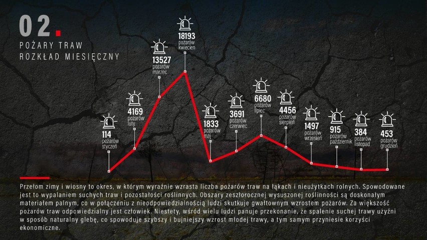 Strażacy kontynuują akcję "Stop pożarom traw"