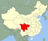 Silne trzęsienie ziemi w Chinach: 200 zabitych i 12 tys. rannych