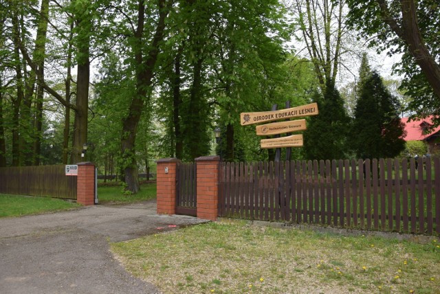 "Zanocuj w lesie" to program udostępniający wiele miejsc do biwakowania w lasach w całej Polsce.