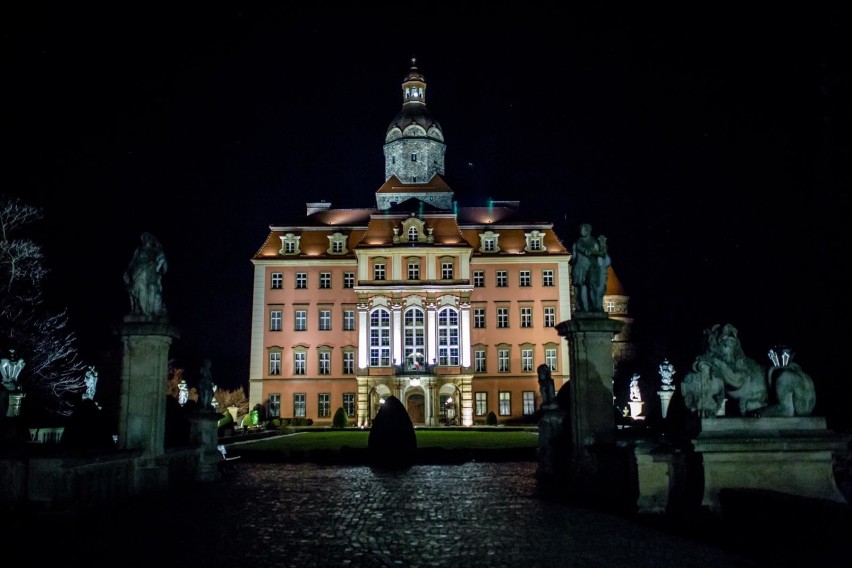 Zamek Książ i Palmiarnię w weekend 10 - 11 marca będzie można odwiedzić za pół ceny