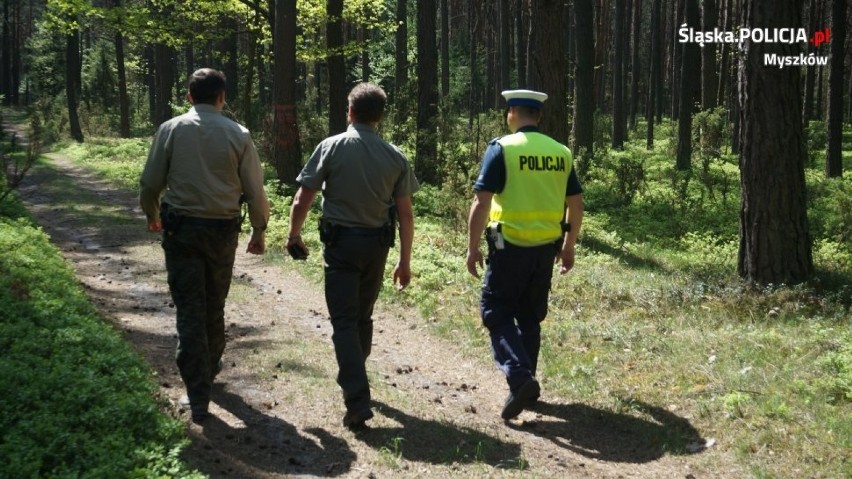 Myszków: Policjanci i strażnicy leśni wspólnie patrolują lasy. Chcą złapać osoby, które jeżdżą quadami w nielegalnych mi