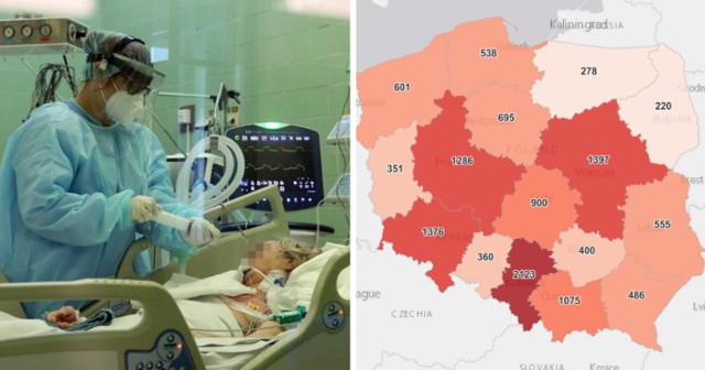 12 762 nowych przypadków koronawirusa w Polsce, 2 123 w woj. śląskim odnotowano w czwartek, 22 kwietnia 2021 roku W całym kraju na CoViD-19 zmarło aż 694 osób, w woj. śląskim - 103. 

Woj. śląskie jest na pierwszym miejscu w Polsce zarówno pod względem nowych zakażeń, jak i przypadków śmiertelnych!

O tym, jaki jest trend, czy zachorowań jest wciąż więcej a jak tak to o ile procent - możemy się przekonać, porównując ze sobą wyniki dzisiejszego czwartku, z tym sprzed tygodnia

Porównując dzisiejszy wynik z tym sprzed tygodnia, to mamy spadek nowych zakażeń: w Polsce ok. 40 procent, natomiast w woj. śląskim ok. 33 procent!

Jednak, od ubiegłego czwartku - ilość przypadków śmiertelnych wciąż jest na bardzo wysokim poziomie. Tydzień temu zgonów w Śląskiem było 93, a dziś aż 103!

Śląskiem wciąż na pierwszym miejscu

To w woj. śląskim wciąż jest największa liczba nowych zakażeń - 2 123, na miejscu drugim jest woj. mazowieckie - 1 397, a dalej woj. dolnośląskie - 1 376.

Liczba osób na kwarantannie w woj. śląskim to 36 487. Liczba wykonanych testów - 8 494, w tym z wynikiem pozytywnym - 2 297.

Gdzie w w woj. śląskim nowych zakażeń jest dramatycznie dużo, a gdzie liczba ta już znacznie spadła? Sprawdź. Kliknij w kolejne zdjęcie >>>

