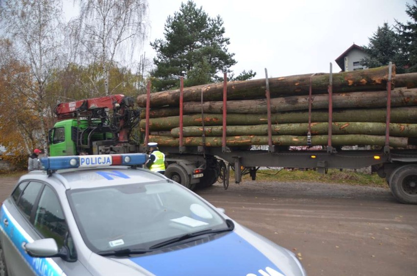 Służby kontrolują, czy nie dochodzi do nielegalnego wywozu pozyskiwanego drewna z lasów ZDJĘCIA