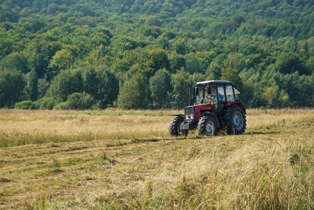 Traktory używane są w rolnictwie, transporcie, firmach komunalnych i drogowych. Te ciągniki rolnicze zainteresują nawet mieszczuchów. Zobaczcie, czym rolnik jedzie w pole. Oferty z cenami ciągników pochodzą z serwisu OLX.