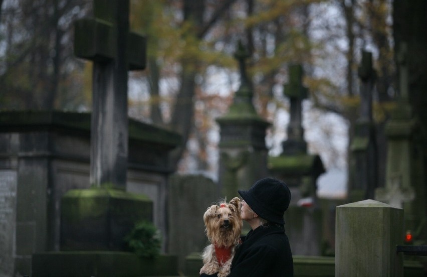 Czy wolno wejść na cmentarz z psem?...