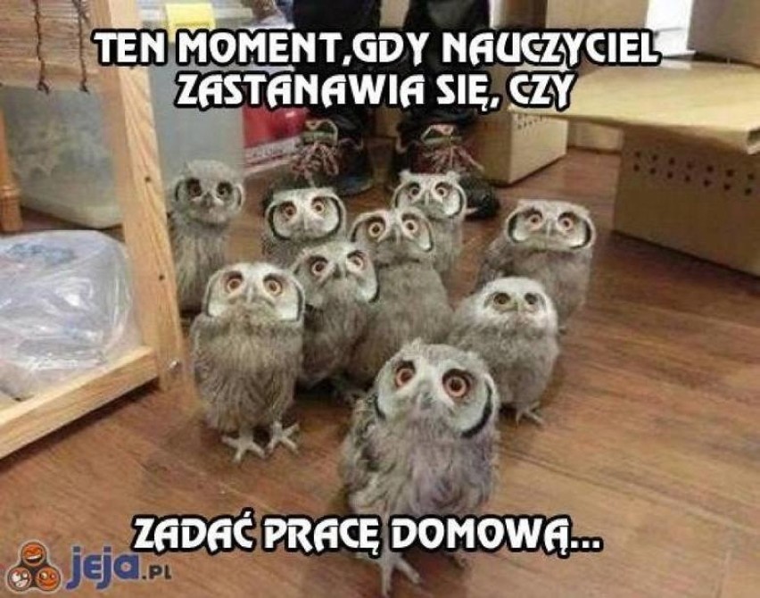 14 października przypada Dzień Edukacji Narodowej, czyli...