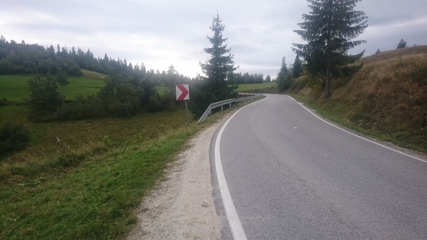 Wypadek w Knurowie. Auto zjechało 100 metrów ze skarpy [ZDJĘCIA]